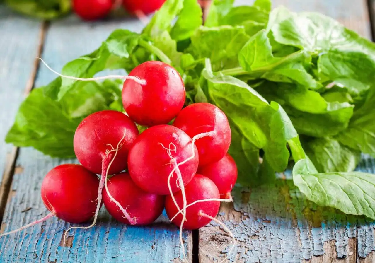 I benefici del ravanello per depurare l’organismo