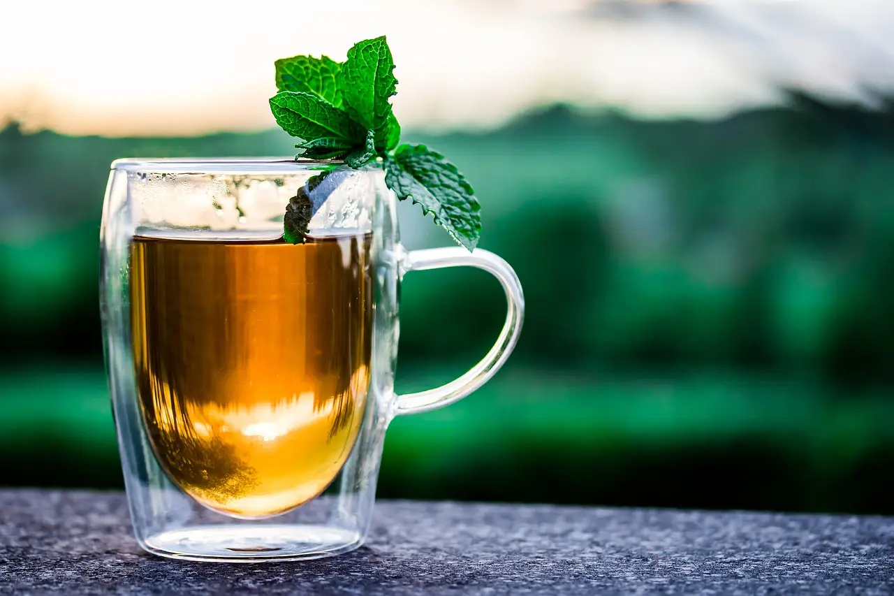 I benefici del tè alla menta per migliorare la digestione I benefici del tè alla menta per migliorare la digestione