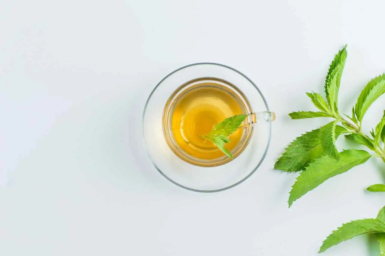 I benefici del tè alla menta per migliorare la digestione I benefici del tè alla menta per migliorare la digestione