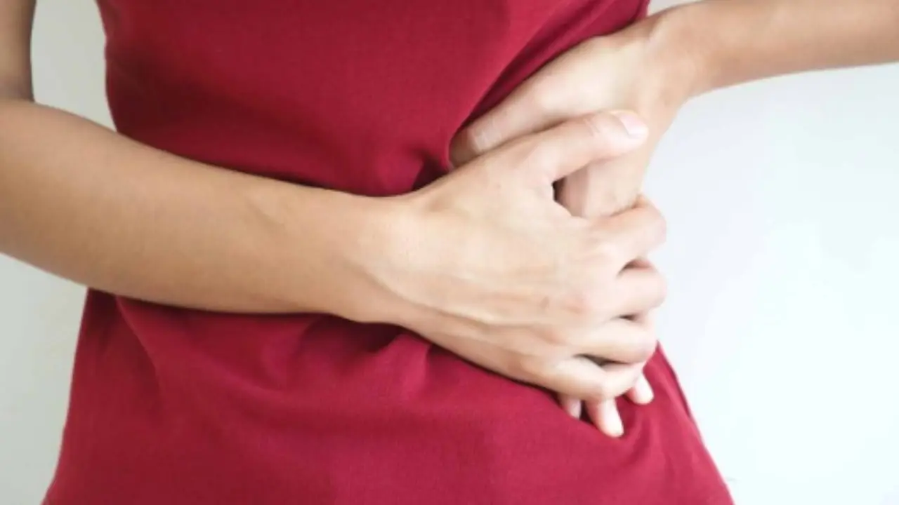 Endivia a tavola: i modi migliori per favorire il transito intestinale Endivia a tavola: i modi migliori per favorire il transito intestinale