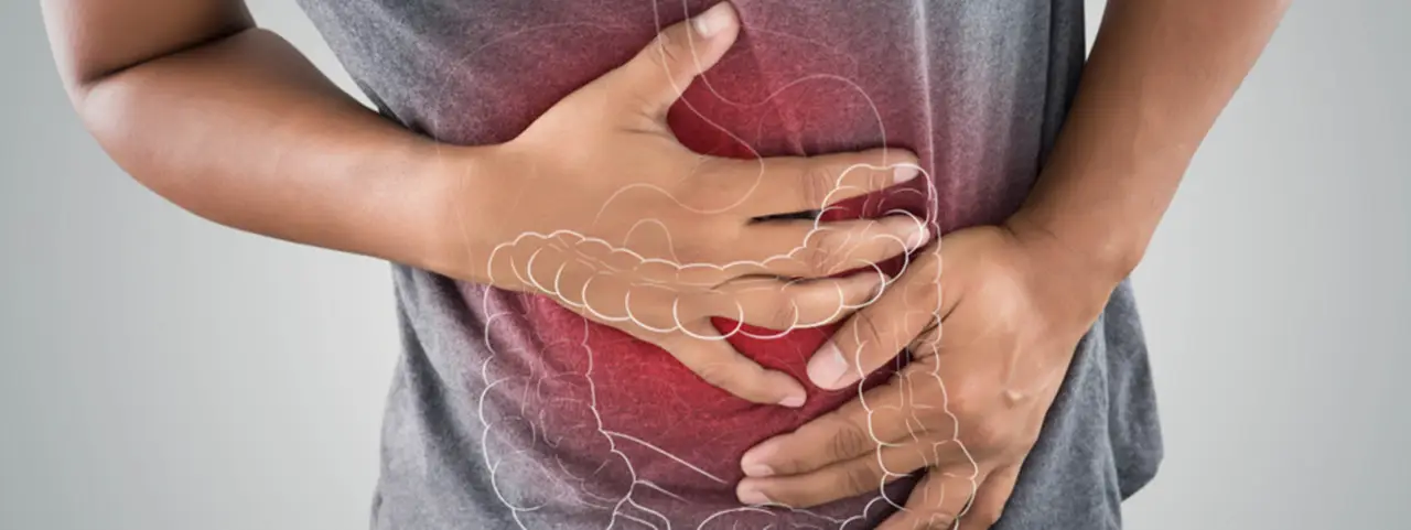 Endivia a tavola: i modi migliori per favorire il transito intestinale Endivia a tavola: i modi migliori per favorire il transito intestinale